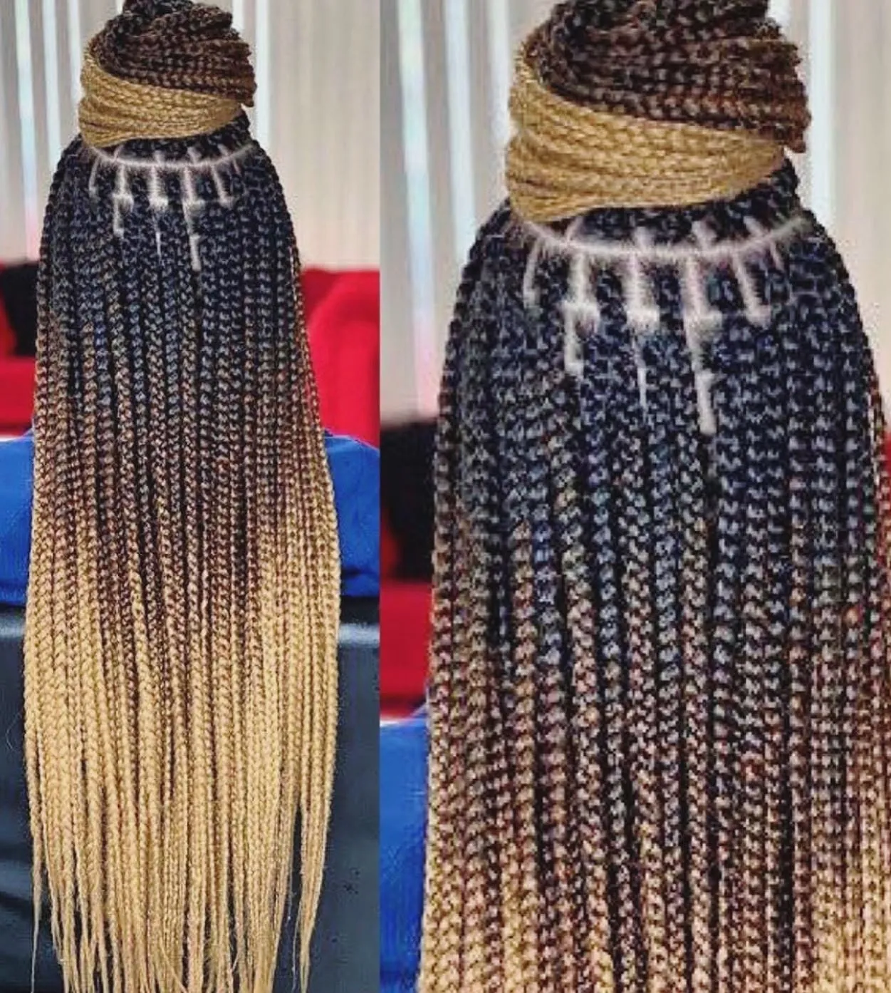 Amaryan Braids (4)